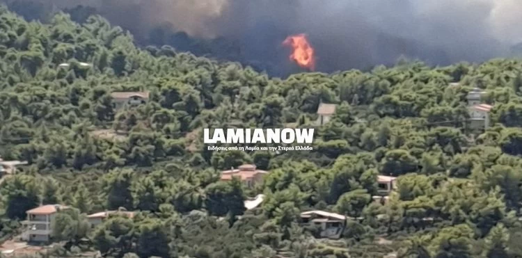 Πυρκαγιά στον Θεολόγο Φθιώτιδας – Ειδοποίηση για απομάκρυνση κατοίκων και στη Μαλεσίνα